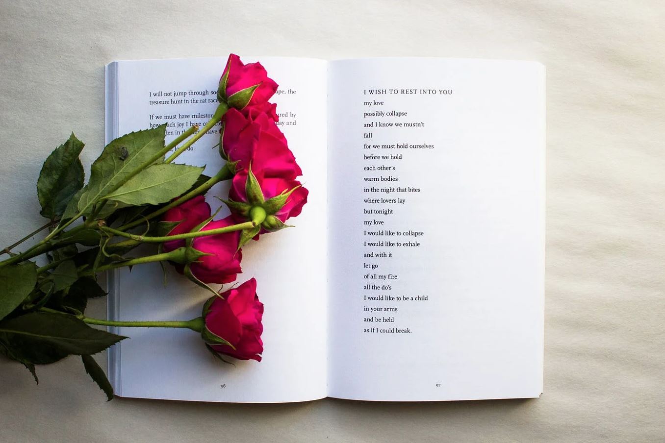 A notebook open to a poem, window panes forming gentle grids like a portal to language